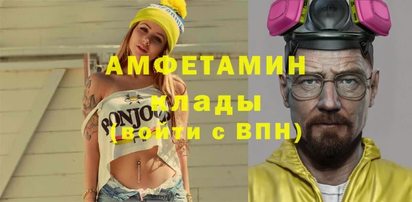 гидра Богородск