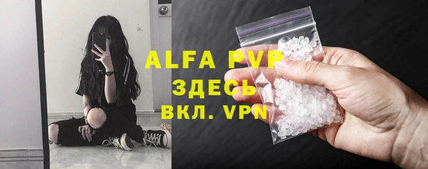 гидра Богородск