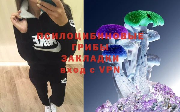 мяу мяу мука Богородицк