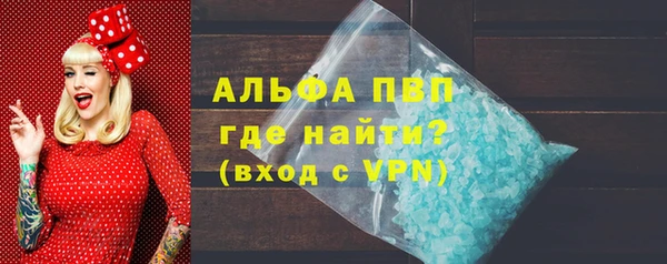 гидра Богородск
