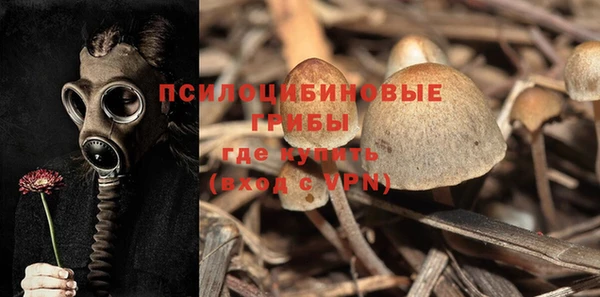 гидра Богородск
