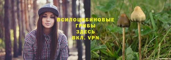 метадон Богданович