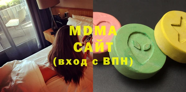гидра Богородск